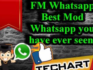 Enhanced Messaging Awaits: FM WhatsApp Download Instructions